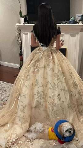 Robe de princesse de quinceañera champagne luxueuse à col en V, référence Y593