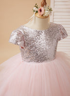 Vestido de princesa/vestido de tul rosa para niña de las flores de cumpleaños 