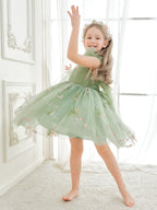 Vestido de niña pequeña de las flores, corte en A, sin mangas, de tul bordado floral. 