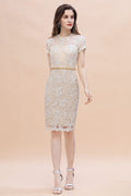 Vestido de madrina de la novia con elegantes joyas, tul, encaje y pedrería, manga corta, disponible en línea.