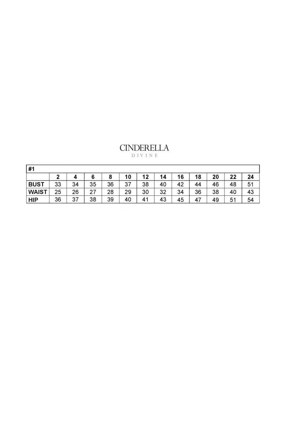 Haute Couture Draped Corset Prom Dress Low Back