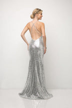Sexy Formal Long Gown Evening Dress