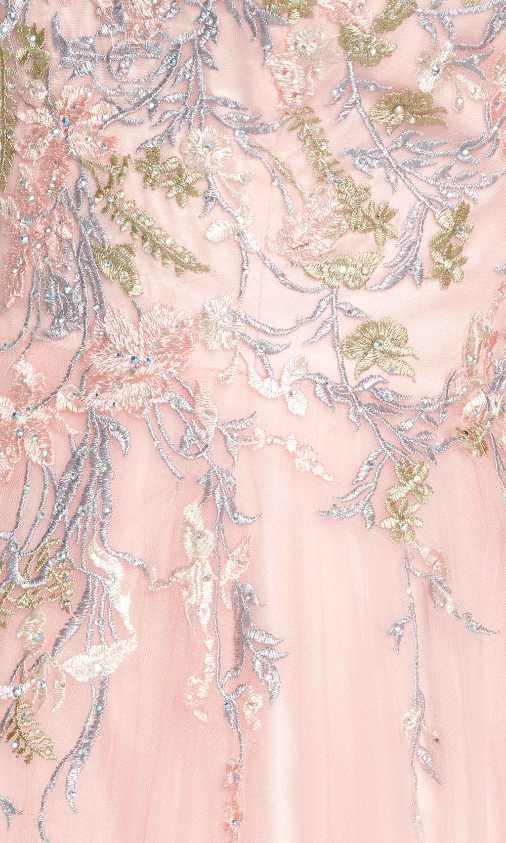 Lace Applique Gossamer A-Line Gown