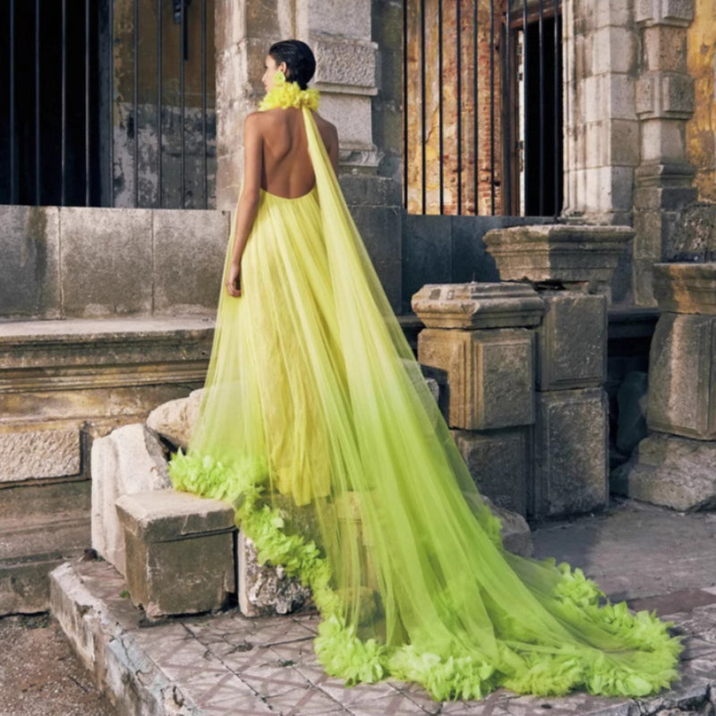 Robe longue décolletée dos nu, robe en tulle, robe de maternité, robe de bal, robe de mariée, robe de matinée, robe intime