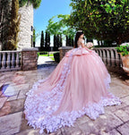 Robe de bal longue et élégante, épaules dénudées, ornée d'appliqués de dentelle et de tulle, idéale pour une quinceañera.