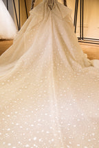 Elegante vestido de novia de tul con mangas largas, bordado con cuentas y cordones, con lentejuelas. 