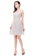 Vestidos de dama de honor cortos plateados elegantes de corte A y corte mini.