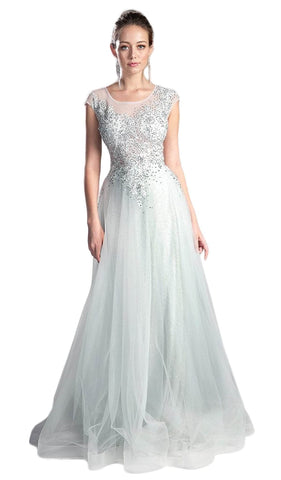 Sheer Scoop Beaded Tulle Evening Gown