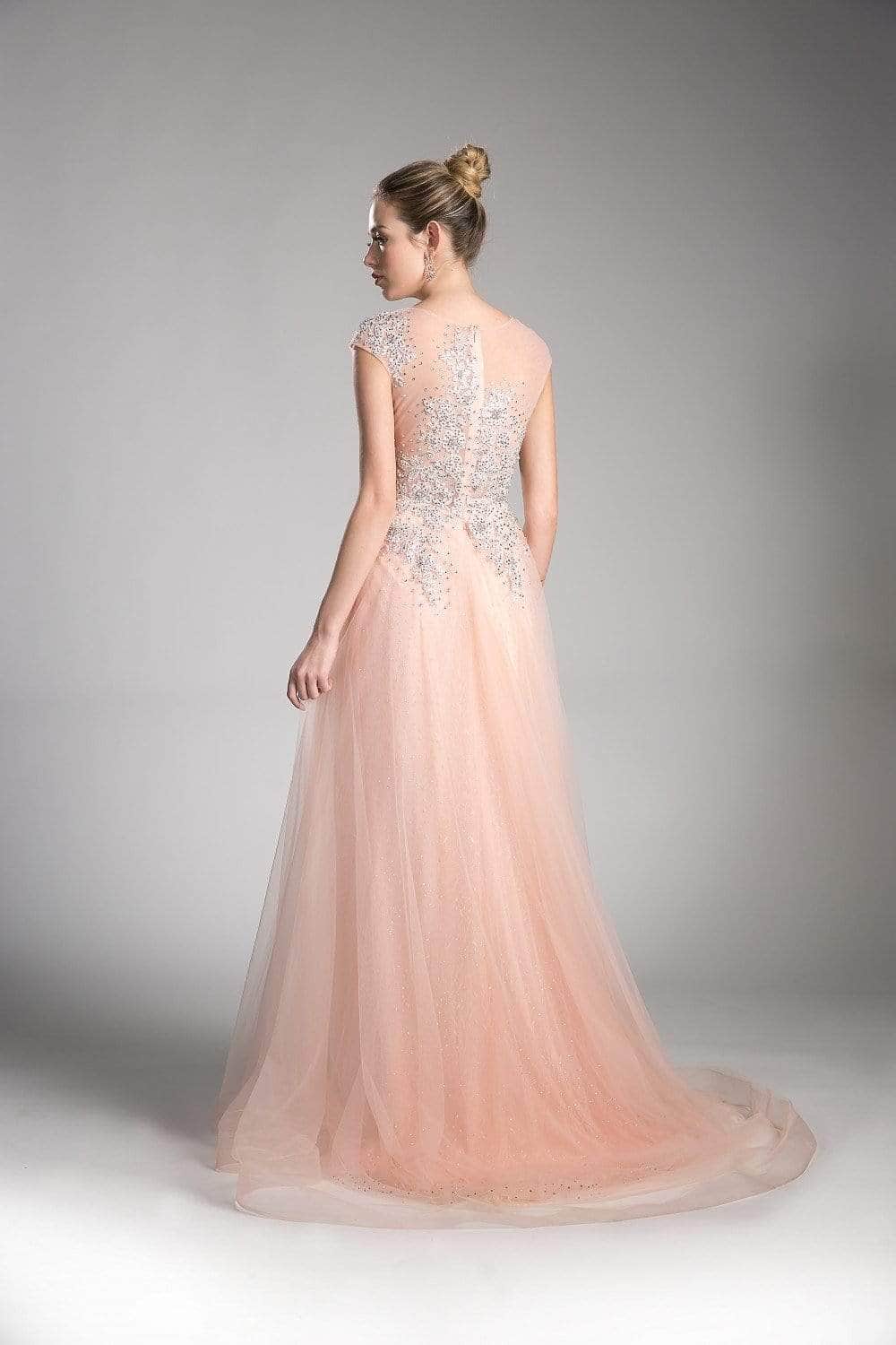 Sheer Scoop Beaded Tulle Evening Gown