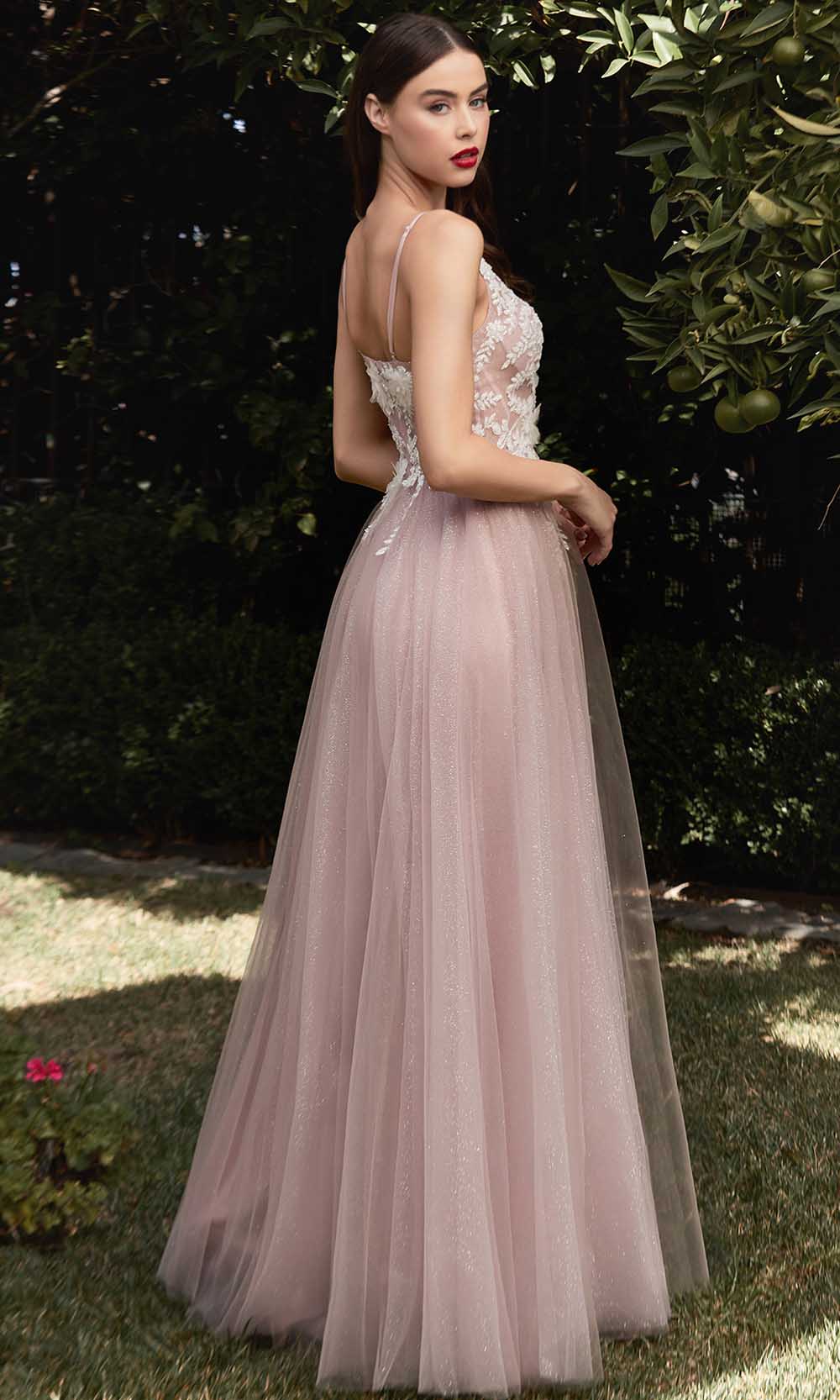 Robe longue à décolleté plongeant en V