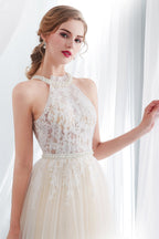 Long A-line Halter Appliques Lace Tulle Evening Dresses