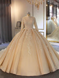 Vestido de novia largo de corte princesa, cuello alto, tul y encaje, con mangas.