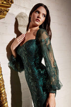 Long Fitted Formal Dress