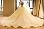 Robe de mariée de bal en tulle à lacets et col illusion luxueux, robe de mariée ivoire scintillante et sobre 