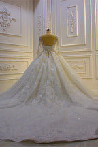 Robe de mariée longue de bal luxueuse avec applications de dentelle et manches