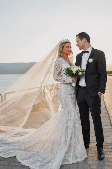 Noble vneck longsleeves mermaid lace Wedding dresses