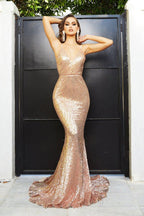 Sexy Long Formal Prom Dress