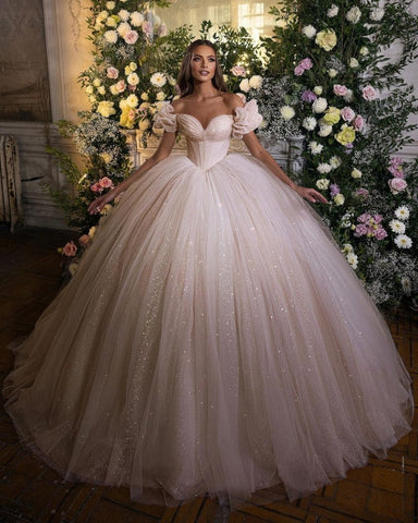 Vestidos de novia de lujo de princesa con brillo y encaje 