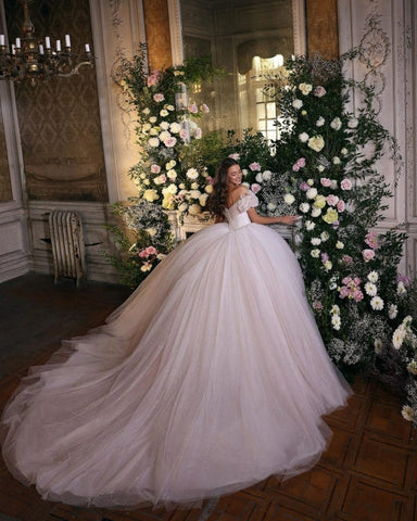 Vestidos de novia de lujo de princesa con brillo y encaje 