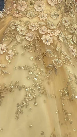 Robe de princesse de quinceañera champagne luxueuse à col en V, référence Y593