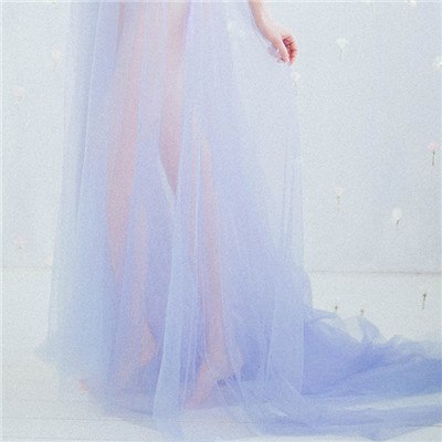 On Sale No Return No Refund Sale Formal dress Long Sleeve See Through Blue Evening Dresses Custom Size Plus Size HA2098