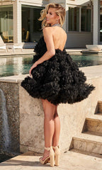Ruffle Tulle A-Line Dress