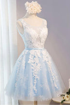 Robe de soirée courte en tulle à col rond avec applications de dentelle PG137