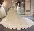 Vestidos de novia largos, brillantes, de corte A, con bordado completo de cuentas, cordones y mangas.