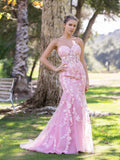 Robe de bal sirène en tulle et dentelle à décolleté cœur