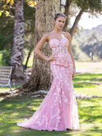 Robe de bal sirène en tulle et dentelle à décolleté cœur