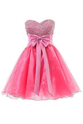 Vestidos cortos de organza con escote corazón para baile de graduación o fiesta de bienvenida PG063